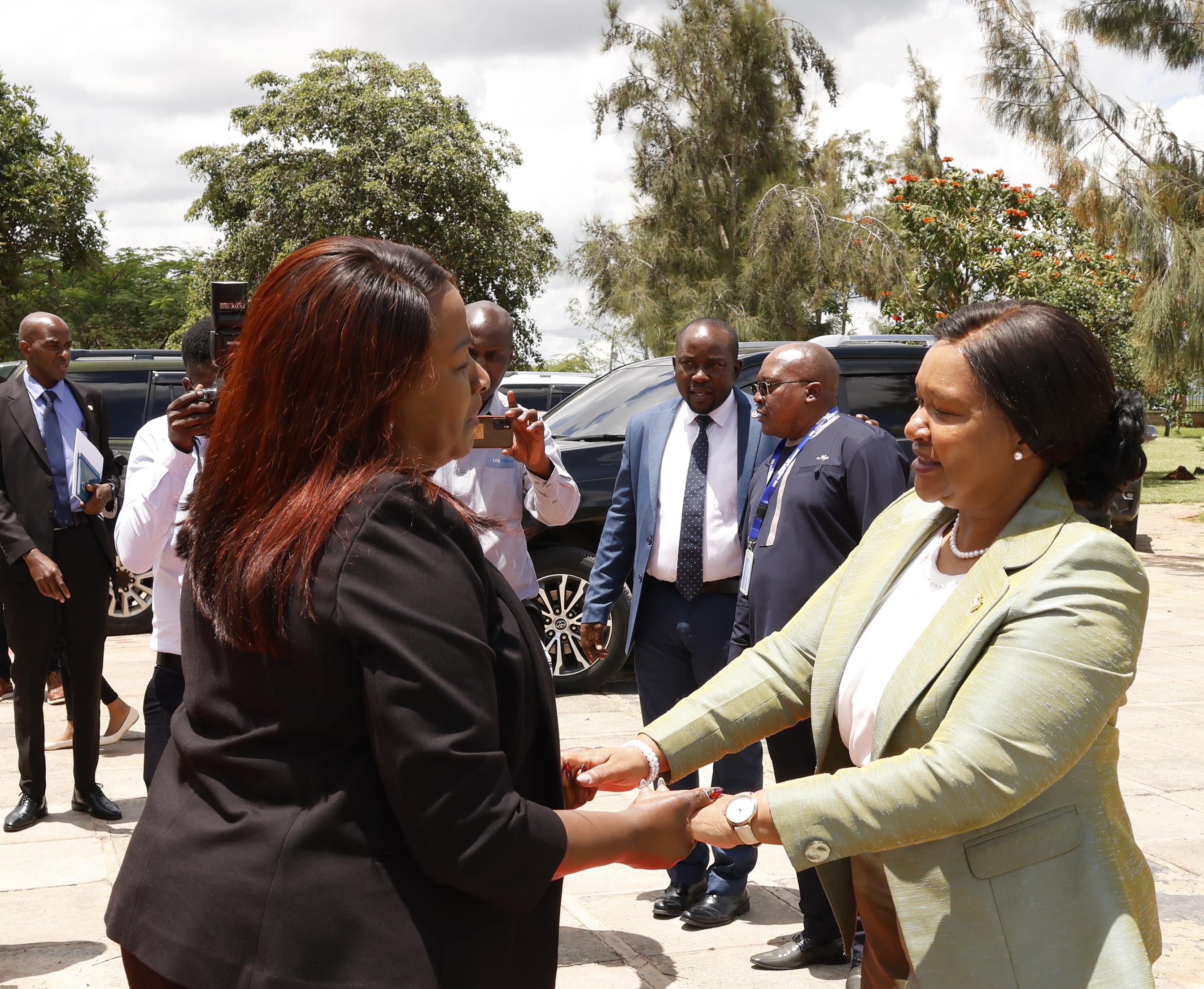 Kenya Leather Park and the Konza Technopolis flagship projects