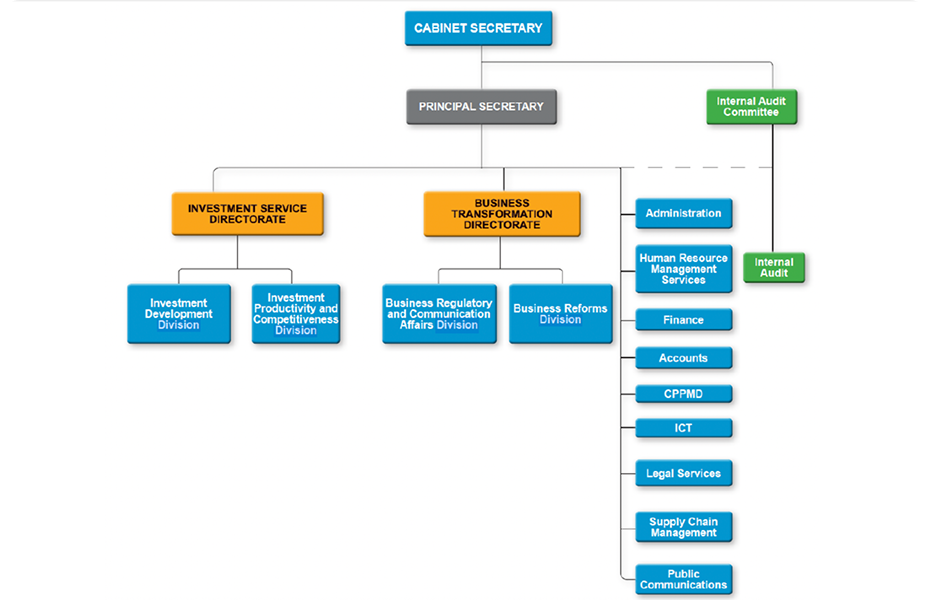 Organisation Structure