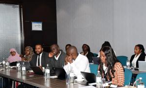 State Department for Investment Promotion (SDIP) BEEEP Project Hosts Private Sector Workshop on Business Environment Reforms
