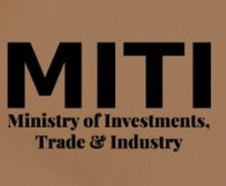 Recent Tax Reforms and Incentives for Foreign and Domestic Companies