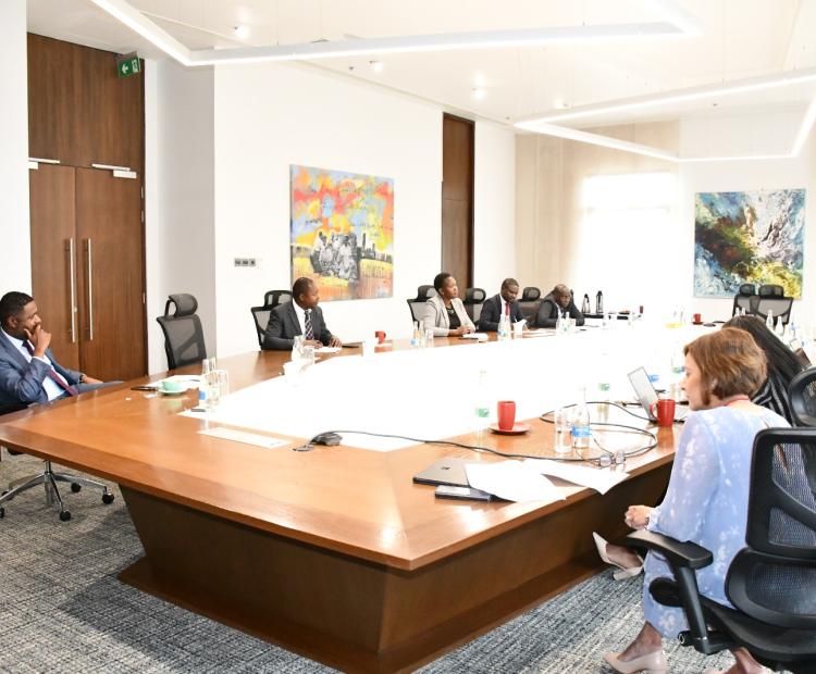 and Title Sanctity and Foreign Investment Challenges in Kenya