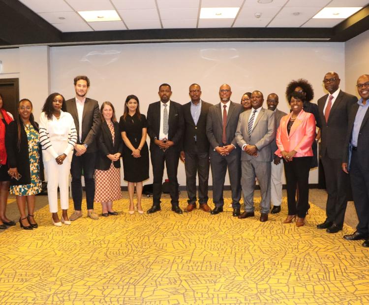 National Investment Council ( NIC) Private Sector Members and the Business Reform Action Plan Development Committee Workshop