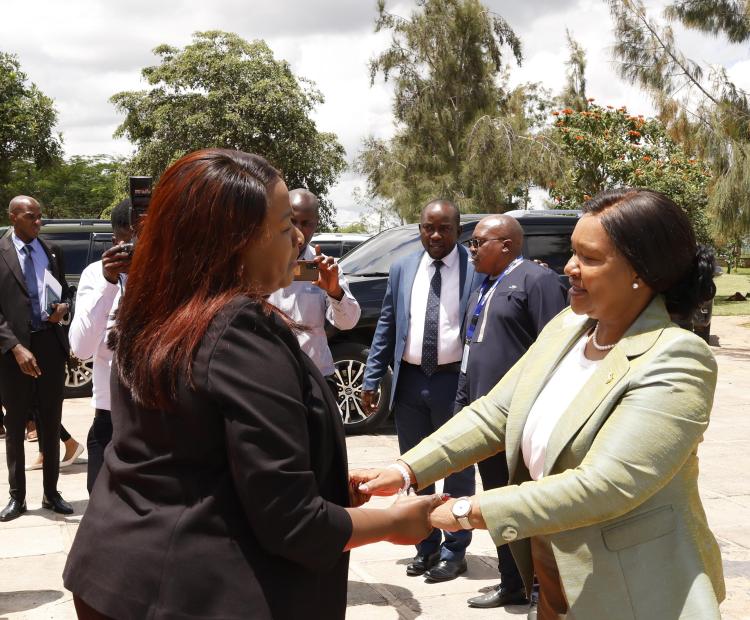 Kenya Leather Park and the Konza Technopolis flagship projects